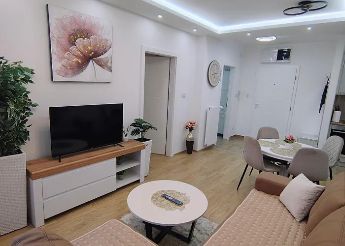 Nesa Daire Banja Koviljača